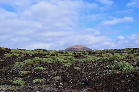 land covered in grass and mud thumbnail