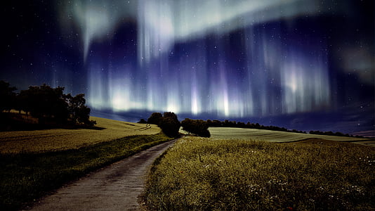 green grass field with background of aurora beam thumbnail