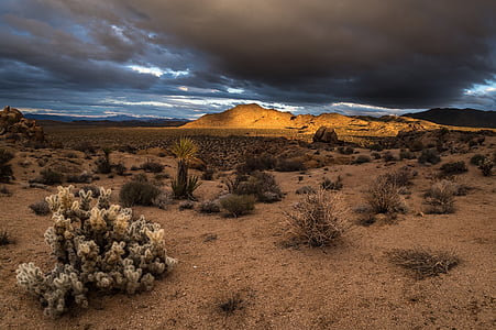 landscape photography of desert under nimbus clouds thumbnail