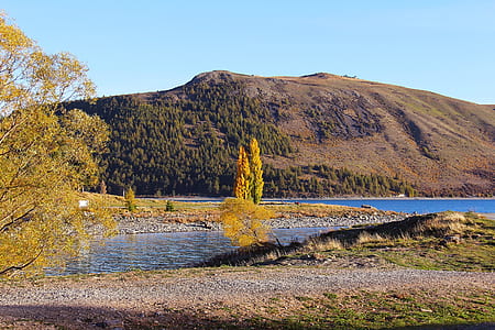 Yellow Tree on Lake With Brown Mountain Background Photo thumbnail