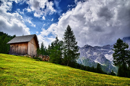 brown wooden shed thumbnail
