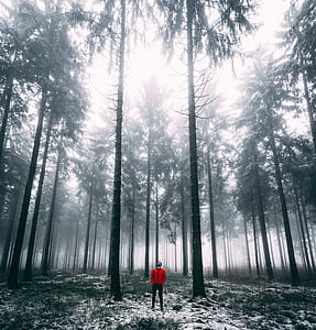 man standing in forest at daytime thumbnail