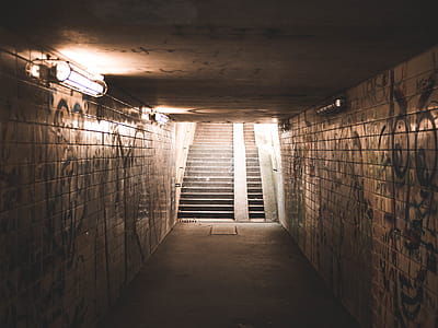 Landscape Photo of Concrete Stairs thumbnail