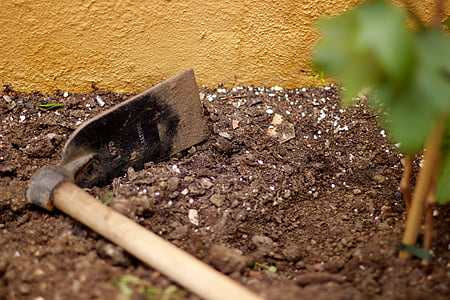 pickax on soil near plant thumbnail
