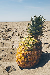 photo of pineapple on soil thumbnail