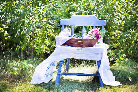 blue windsor chair on green grass field thumbnail