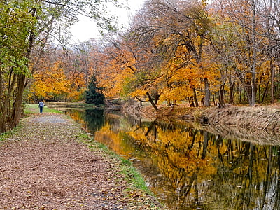 body of water surrounded by trees thumbnail