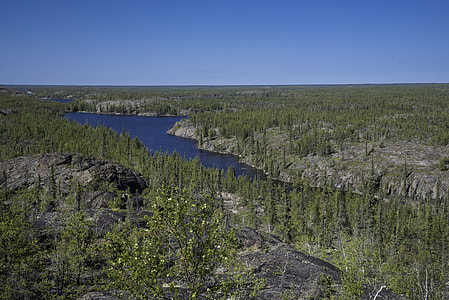 Long Blue lake in the middle of Pine Forest on the Ingraham Trail thumbnail