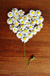 close up photo of white petaled flowers forming heart thumbnail