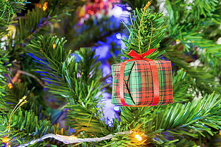 green and red gift box hang on christmas tree thumbnail