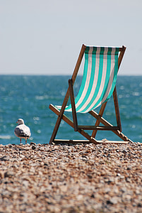 brown wooden and green-and-white striped folding chair beside sandpiper bird thumbnail