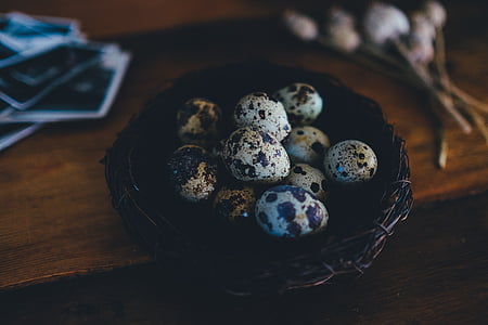 quail eggs on brown nest closeup photography thumbnail