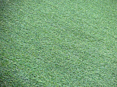 green grass lawn thumbnail
