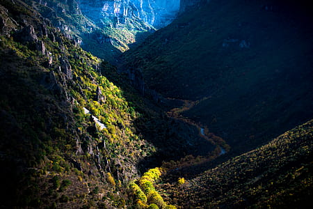photo of green forest thumbnail