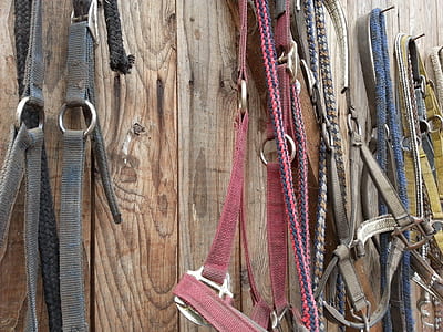 harness lot thumbnail