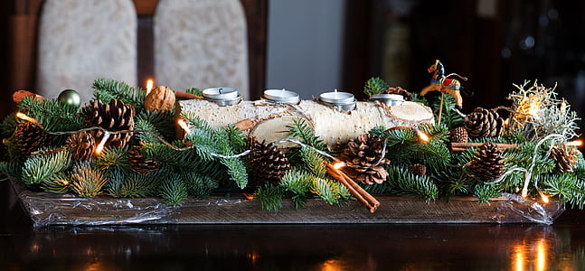 green leaved and brown pinecones on table thumbnail