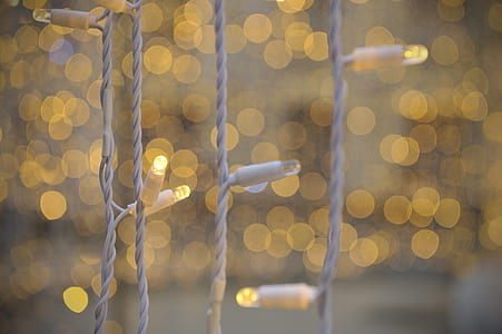 selective focus photo of white string lights with bokeh lights background thumbnail
