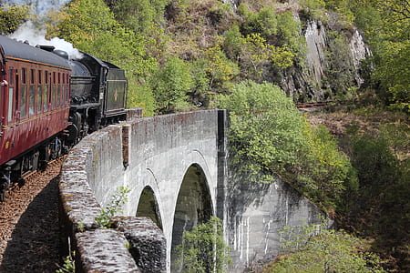 black and red train running on railway at daytime thumbnail