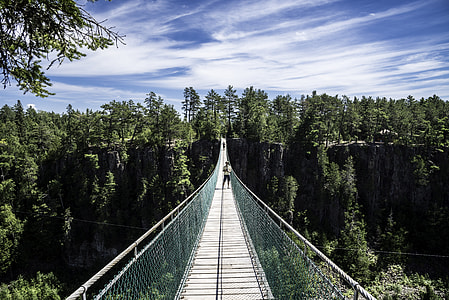 People standing on the long suspension bridge in Eagle Canyon, Ontario thumbnail