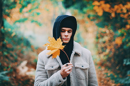 man holding brown maple leaf thumbnail