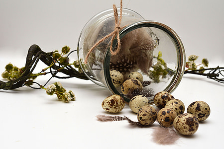 clear glass jar with quail eggs thumbnail
