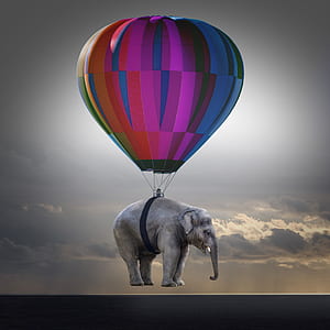 gray elephant with hot air balloon thumbnail