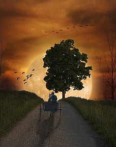 person riding carriage towards tree during nighttime painting thumbnail