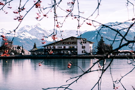 photography of white and brown house near body of water thumbnail