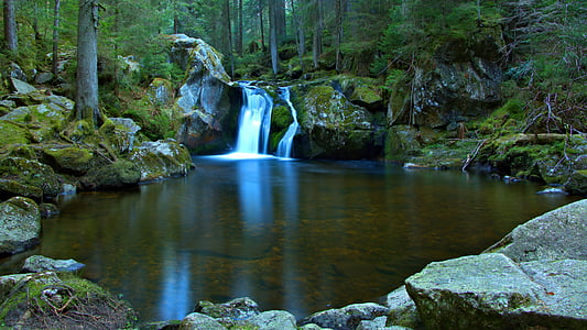 calm body of water near green leaf tree thumbnail
