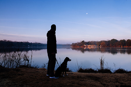silhouette of man with dog near body of water at daytime thumbnail
