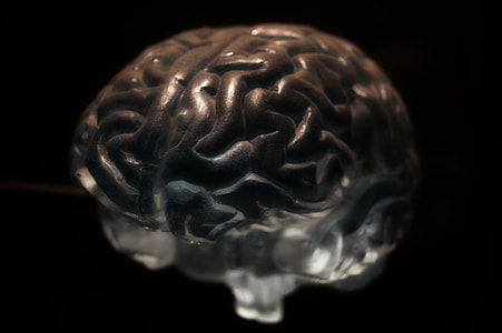 gray brain illustration thumbnail