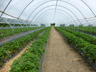 landscape photo of farm thumbnail
