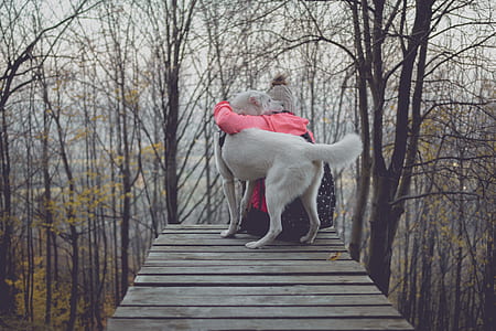 person hug dog on dock thumbnail