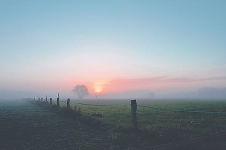 Golden Hour Photo thumbnail