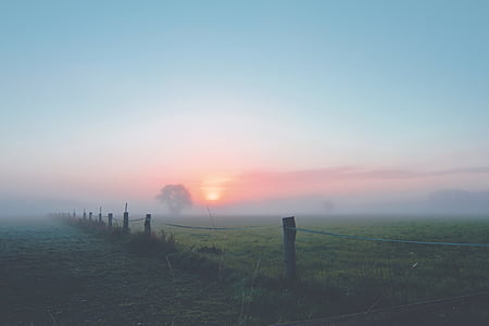 green grass thumbnail
