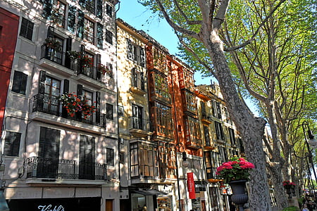 green leafed tree in front of gray apartment during daytime thumbnail