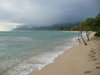 white sand beach at daytime thumbnail