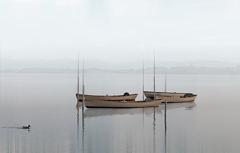boat on body of water thumbnail