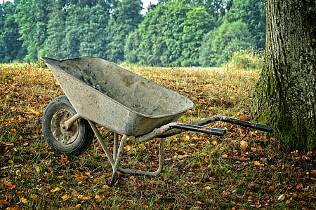 gray wheelbarrow near tree thumbnail