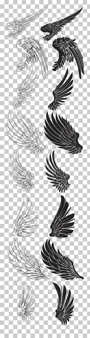 Drawing Brush Feather, Eagle wings brush, black and white wings artwork PNG clipart