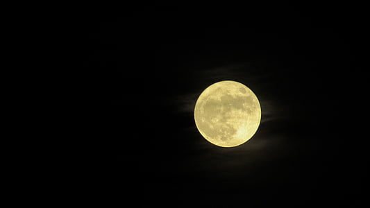 selective photo of full moon thumbnail