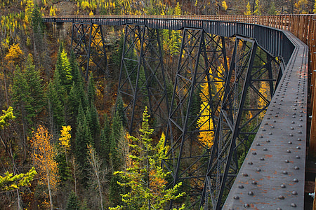 Myra Canyon with trees in British Columbia, Canada thumbnail