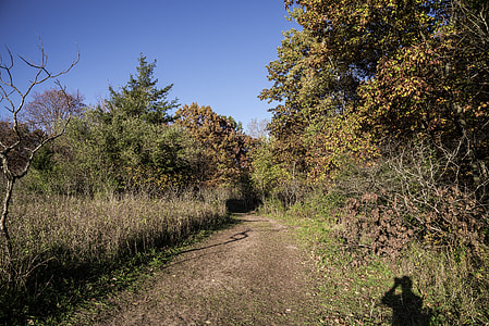 Hiking Trail at Pike Lake State Park, Wisconsin thumbnail