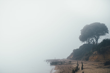 wide angle photo of shore thumbnail