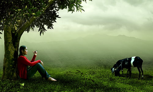 photograph of woman sitting beside tree near horse thumbnail