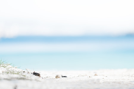 gray and black stones on white sand near seashore in tilt photography thumbnail