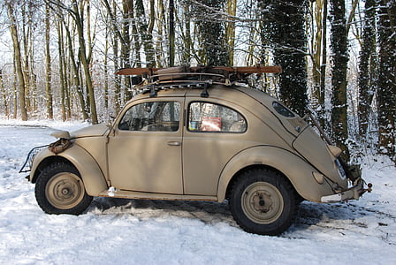 parked gray Volkswagen Beetle coupe near on forest trees thumbnail