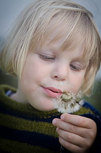 Selective Focus Photography of Girl in Green and Black Striped Sweater Holding and Blowing Dandelion thumbnail