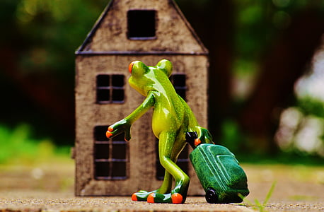 green frog holding luggage bag decor illustration thumbnail