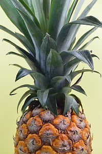 closed-up photo of pineapple fruit thumbnail